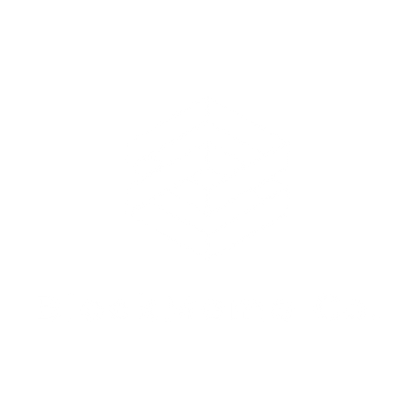 BlockMeme Company
